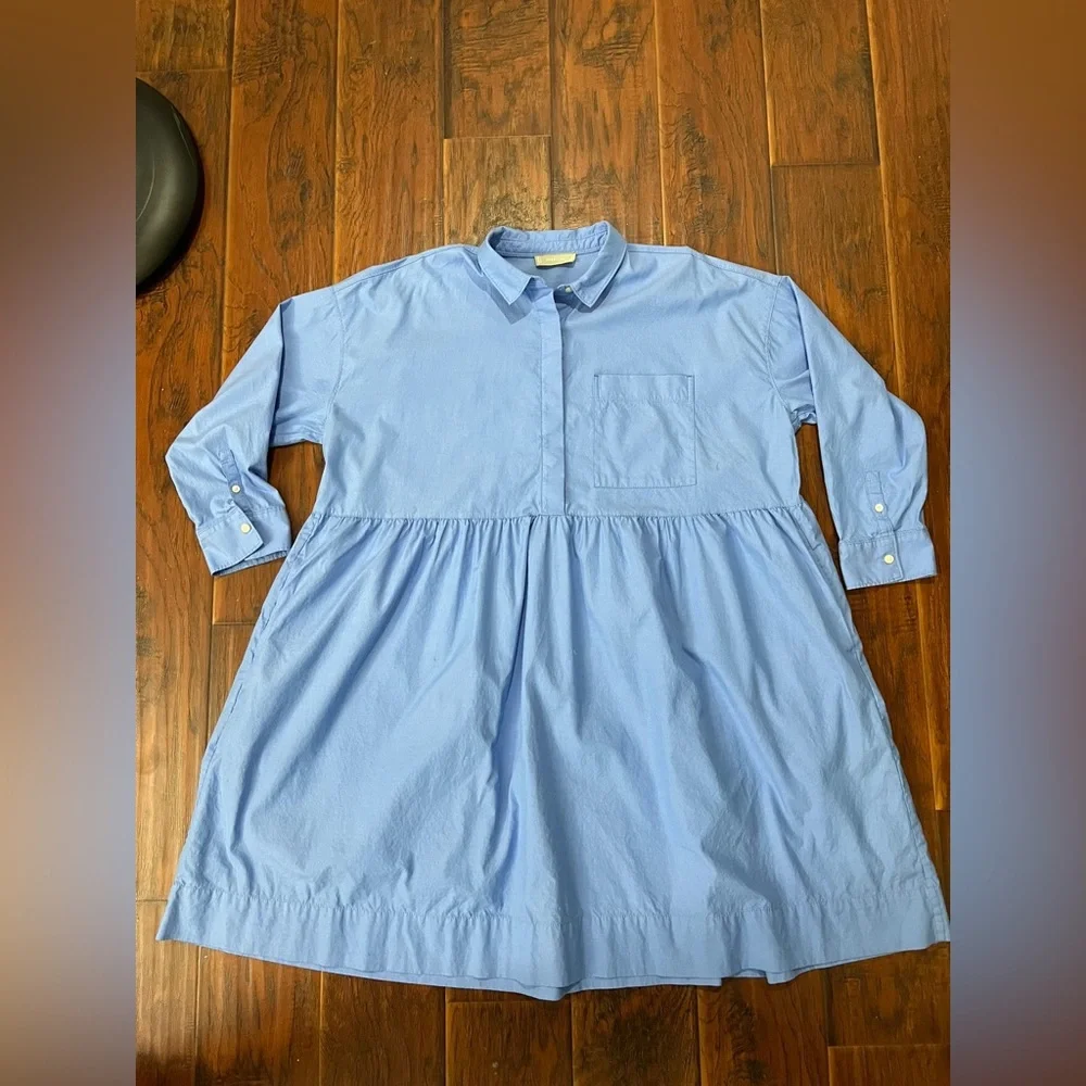 Everlane The Field Dress Oversized Shirt Dress Blue - Picture 8 of 10